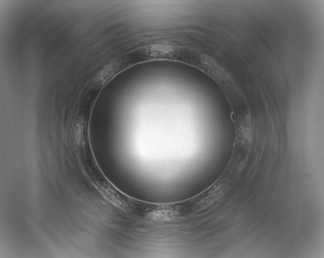 X0000061720468200512021344
