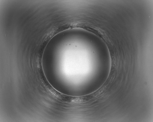 X0000061720470200512021344