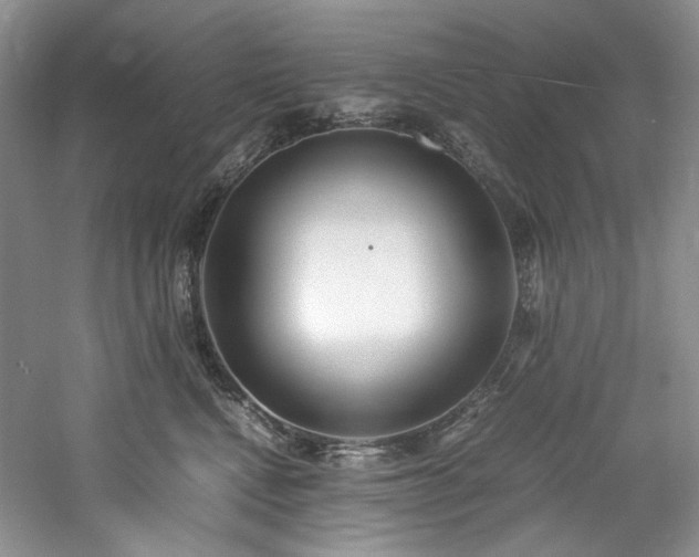 X0000061720472200512021344