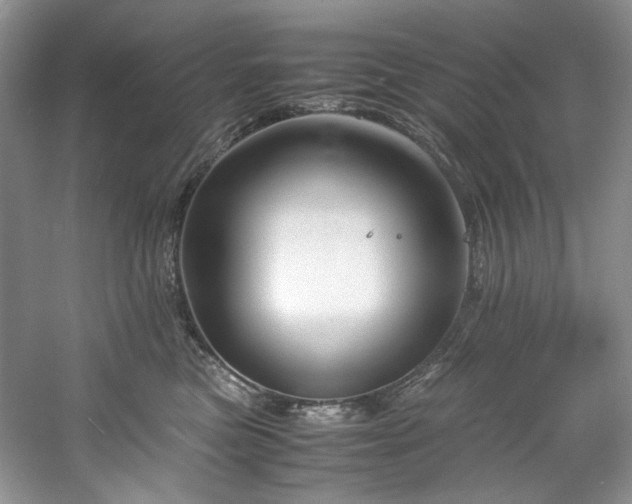 X0000061720473200512021344