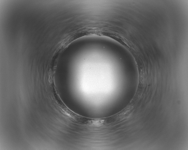 X0000061720474200512021344