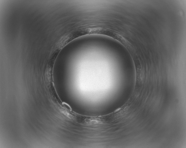 X0000061720475200512021344