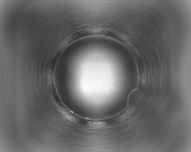 X0000061720476200512021344