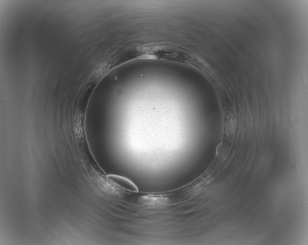 X0000061720477200512021344