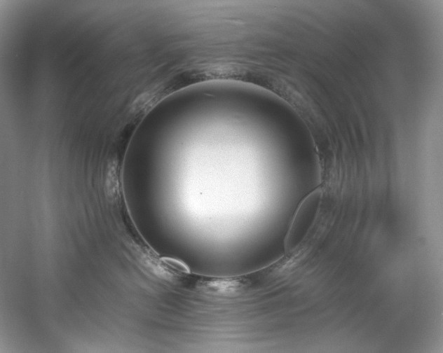 X0000061720478200512021344
