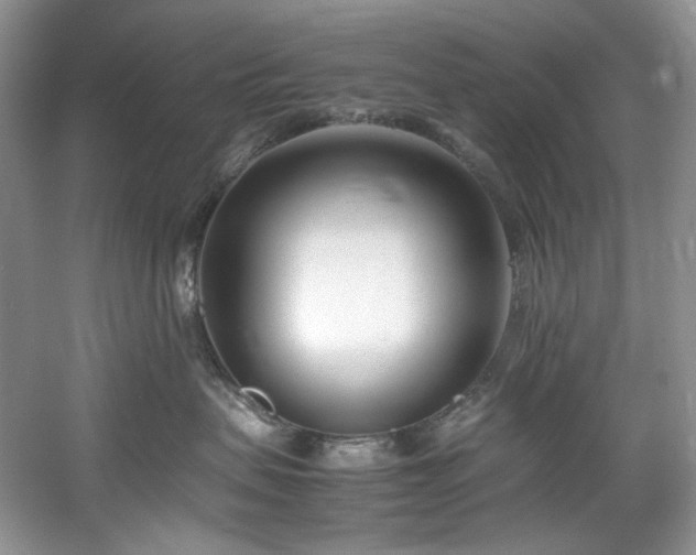 X0000061720479200512021344