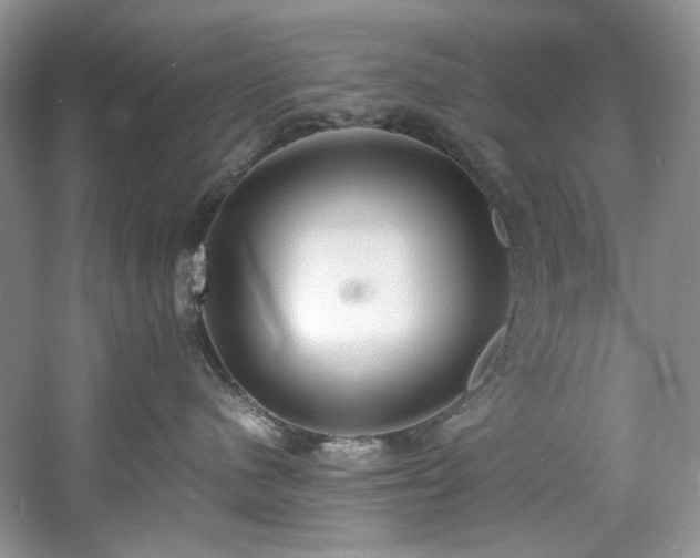 X0000061720480200512021344
