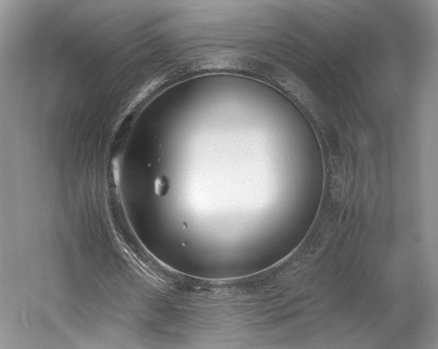 X0000061720482200512021343