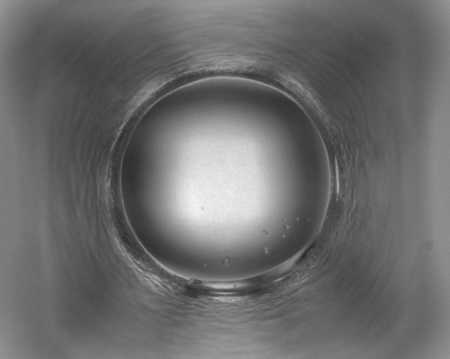X0000061720483200512021343