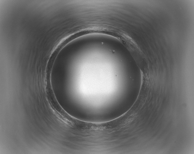 X0000061720484200512021343