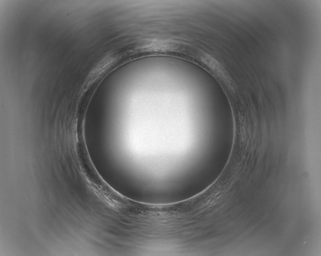 X0000061720486200512021343