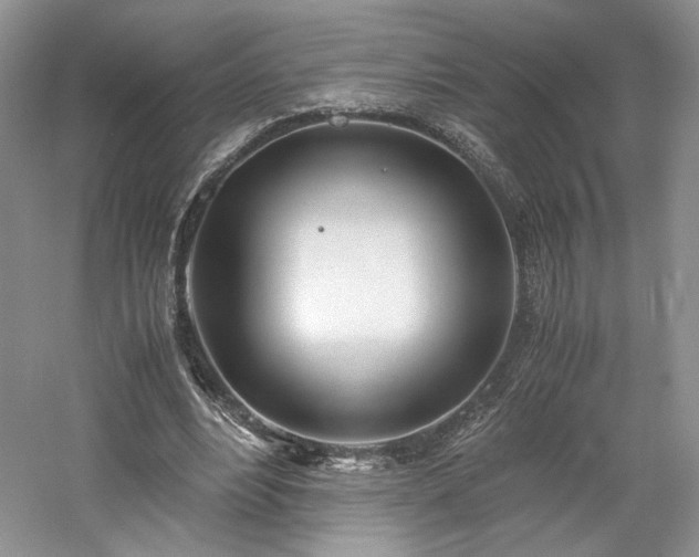 X0000061720488200512021343