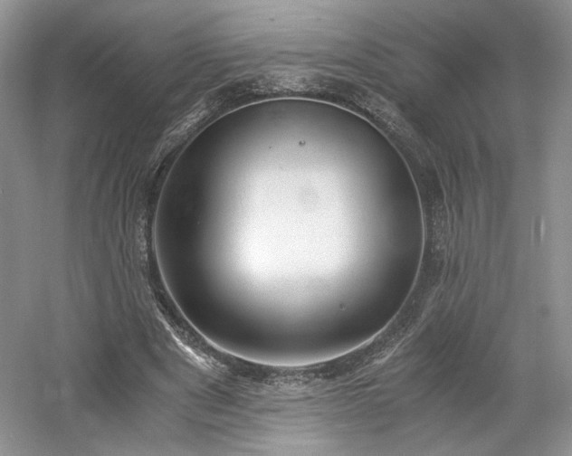 X0000061720489200512021343