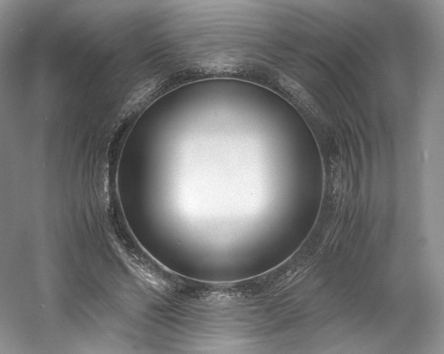 X0000061720494200512021343