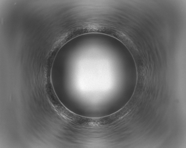 X0000061720496200512021343