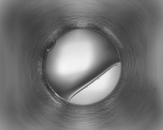 X0000061720497200512021343