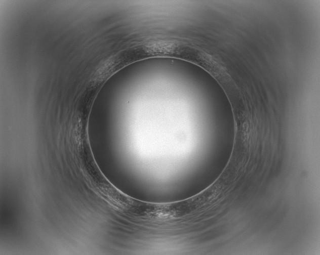 X0000061720498200512021343