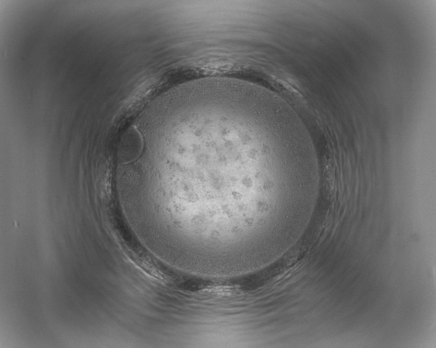 X0000061720499200512021343