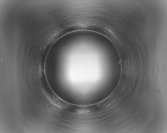 X0000061720500200512021343