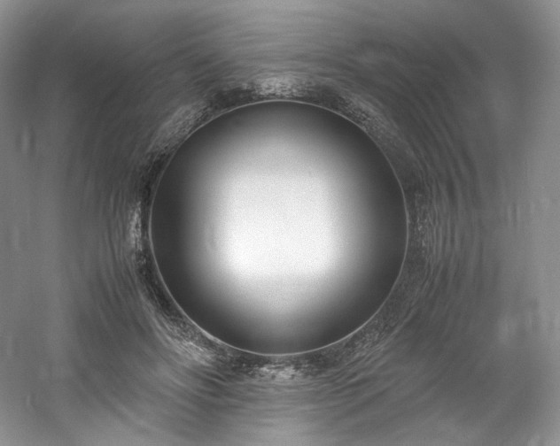 X0000061720502200512021343