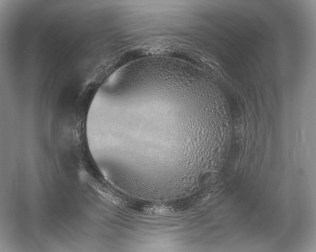 X0000061720503200512021343