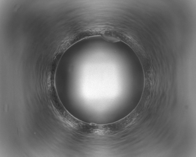 X0000061720504200512021343