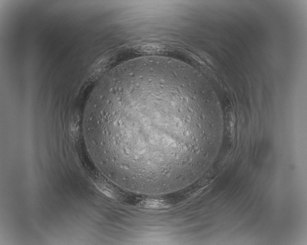 X0000061720507200512021343