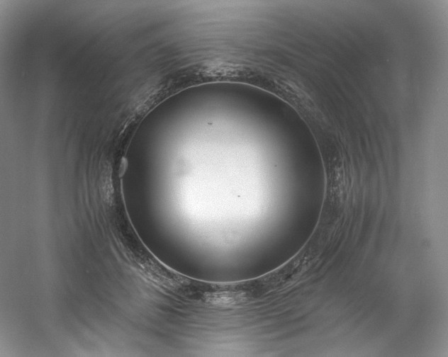 X0000061720508200512021343