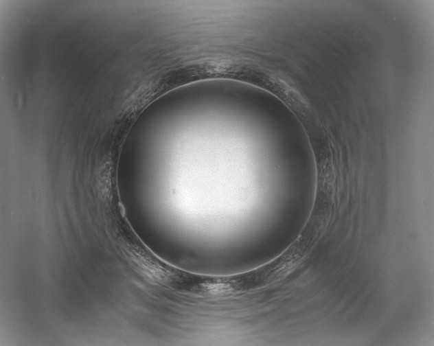 X0000061720509200512021343