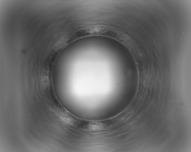 X0000061720510200512021343