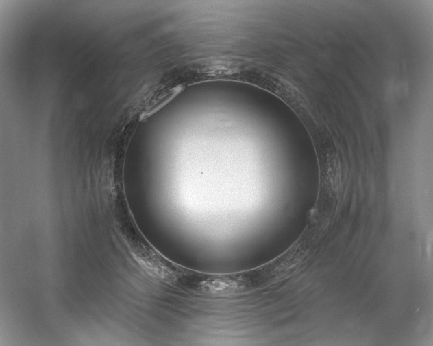 X0000061720512200512021343
