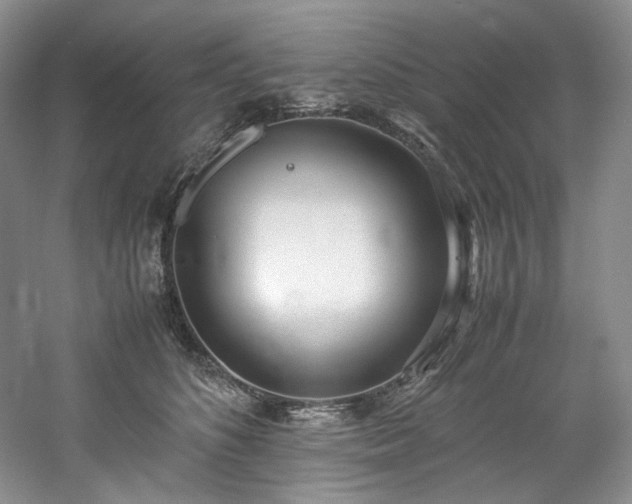 X0000061720516200512021343