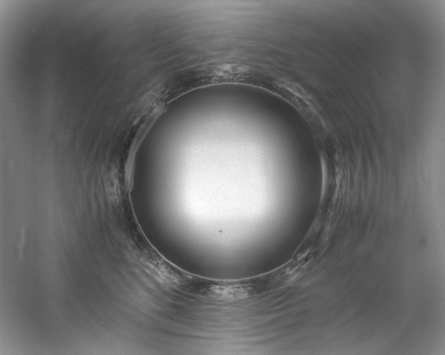 X0000061720520200512021342