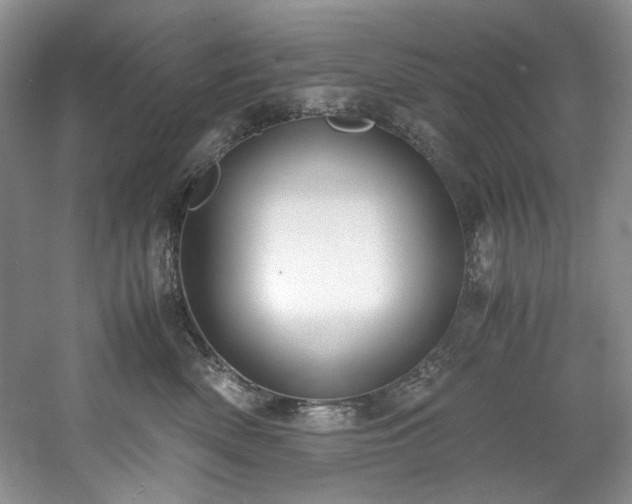 X0000061720522200512021342