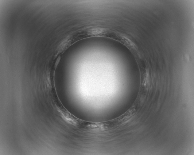 X0000061720524200512021342