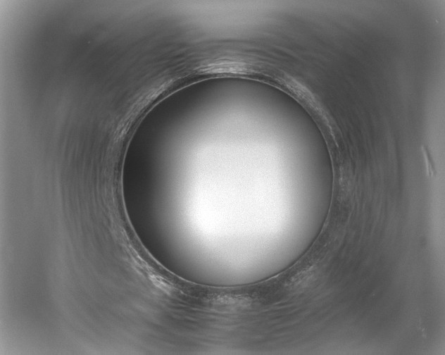 X0000061720529200512021342