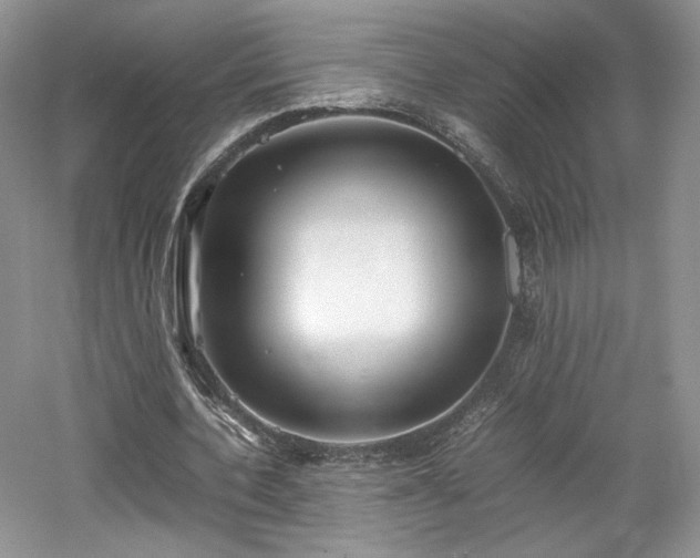 X0000061720532200512021342