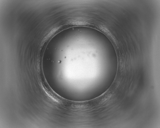 X0000061720533200512021342