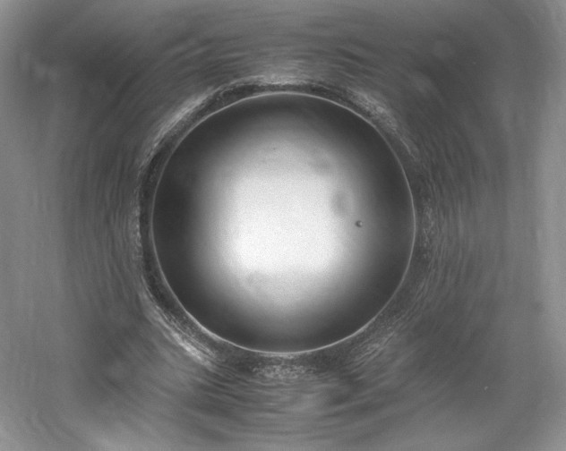 X0000061720535200512021342