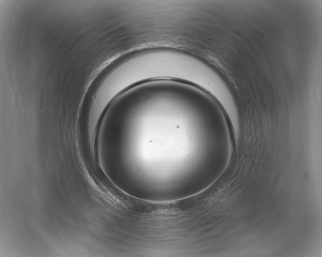 X0000061720536200512021342