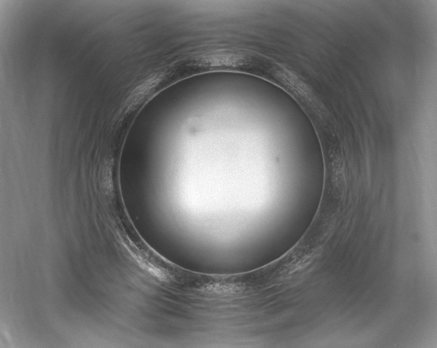 X0000061720537200512021342