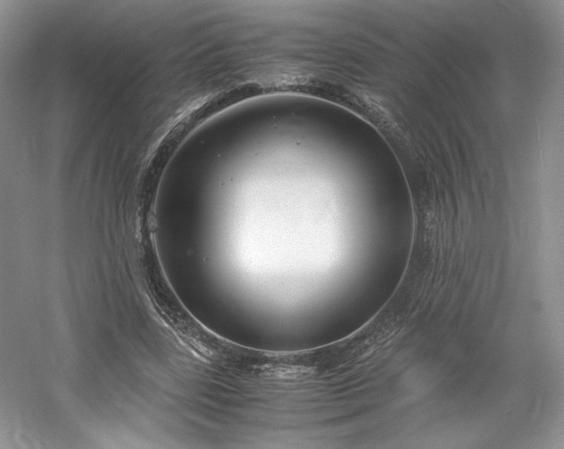X0000061720539200512021342