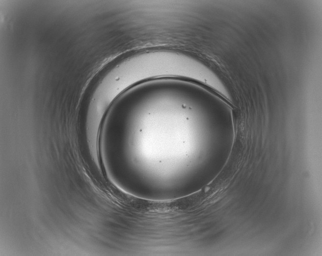 X0000061720540200512021342