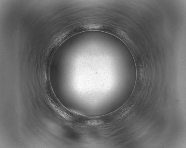 X0000061720541200512021342