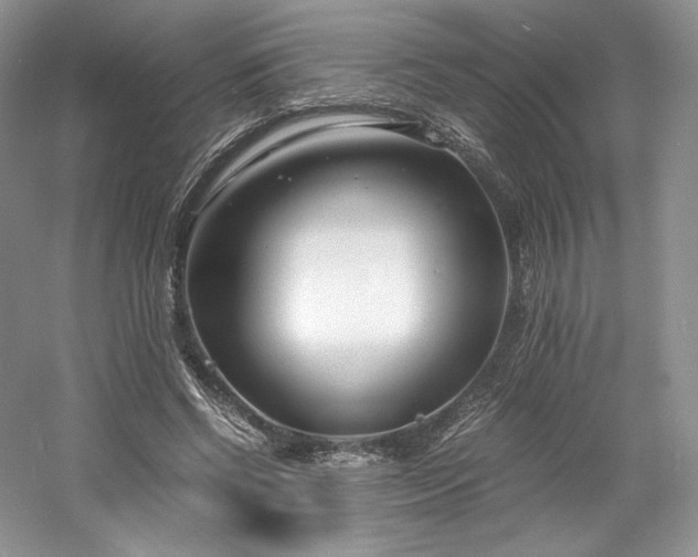 X0000061720542200512021342
