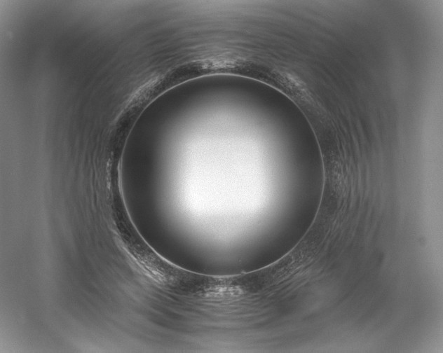 X0000061720543200512021342