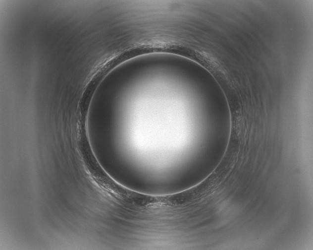 X0000061720544200512021342