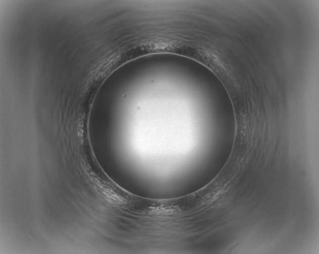 X0000061720545200512021342