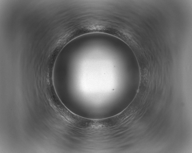 X0000061720547200512021342