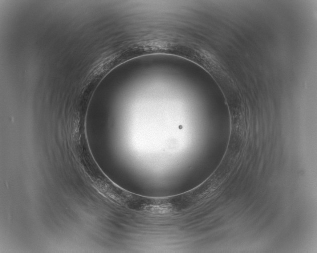 X0000061720548200512021342